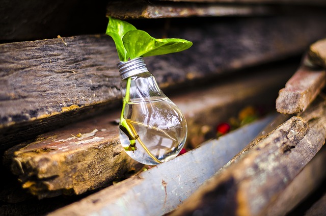 Izgradnja biogas reaktora i održiva upotreba energije